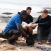 Gordon Ramsay - Kulinarische Abenteuer
