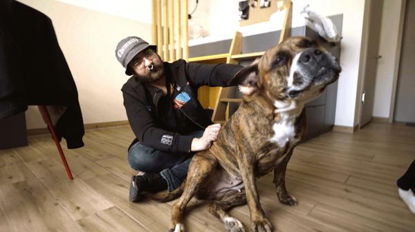 Bild 1 von 5: Unzertrennlich. Paul und seine Hündin \