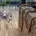 Arachnoquake