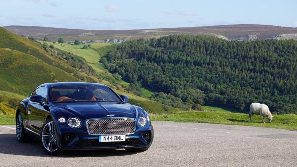 Bild 1 von 3: Königliches Vergnügen: Ein Bentley Continental GT W12 in der englischen Countryside.