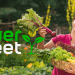 Querbeet