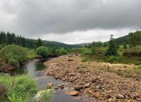 Vier Jahreszeiten - Ein Wald im Wandel