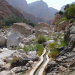 Oman