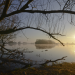 Die Elbe
