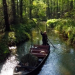 Der Spreewald von oben