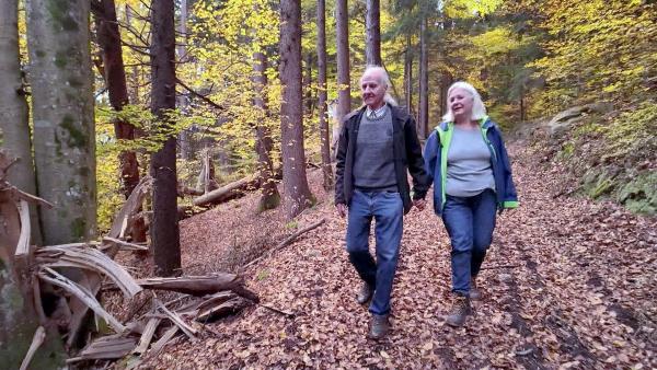 Bild 1 von 3: Im Bild: Familie T. im Wald.