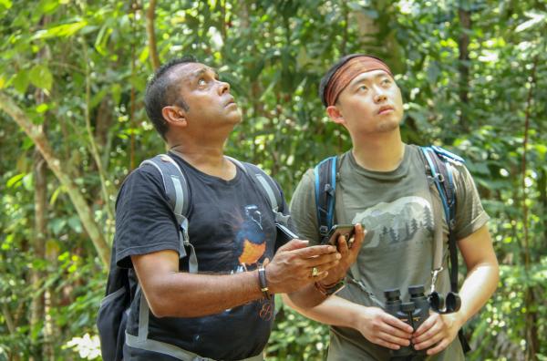 Bild 1 von 5: Amir Finches (li.) und Umweltaktivist Shane Chiok (re.) beobachten wilde Singvögel auf der Insel Pulau Ubin vor Singapur.