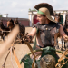 Brot und Spiele - Wagenrennen im alten Rom