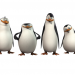 Die Pinguine aus Madagascar