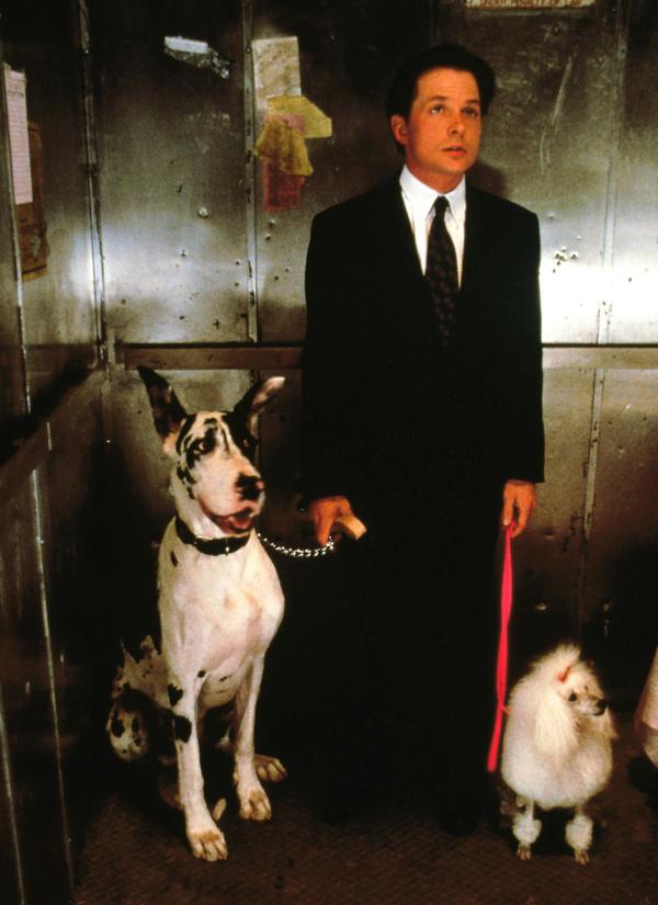 Ein Concierge zum Verlieben