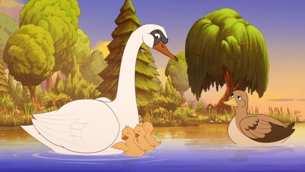 Bild 1 von 3: Wieder vereint! Die Entenküken (M.) und ihre Mama Michelle (r.) sind wieder aufgetaucht. Schwan Hokuspokus (l.) bleibt für den kleinen Enten-Nachwuchs dennoch wichtig.©ZDF/ Caligari Film/  Honorarfreie Verwendung gemäß AGB im redaktionellen Zusammenhang mit genannter Sendung bei Nennung \