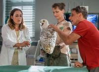 Tierärztin Dr. Mertens