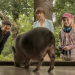 Wendy - Der Film