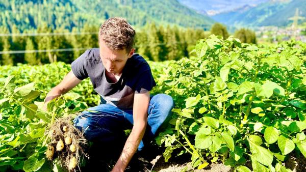 Bild 1 von 12: Im Bild: Kartoffelbauer Anton Probst.