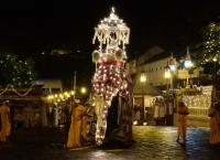 Sri Lankas Peraheras - Sakrale Elefantenprozessionen