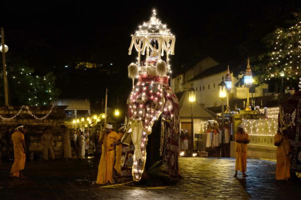 Bild 1 von 4: Heilige Reliquie bei der Prozession, Esala Perahera in Kandy.