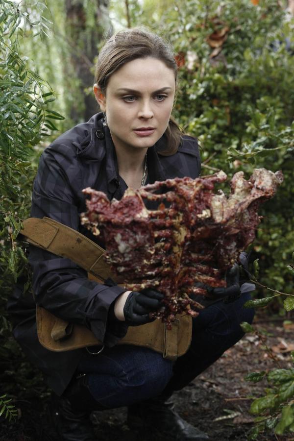 Bild 1 von 9: Dr. Brennan (Emily Deschanel)