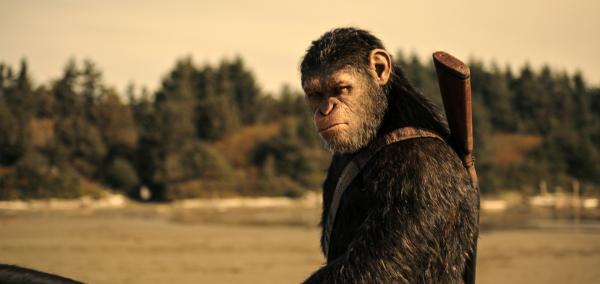 Bild 1 von 8: Caesar (Andy Serkis)