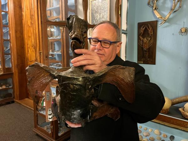 Bild 1 von 7: Die Wunderkammer im Kloster Strahov in Prag verfügt über eine 400 Jahre alte Drachenmumie. Was verbirgt sich hinter dem exotischen Tierpräparat?