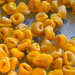 50 Gründe, die Emilia-Romagna zu lieben