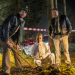 Hubert und Staller