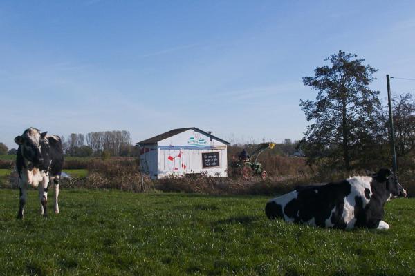 Bild 1 von 7: .