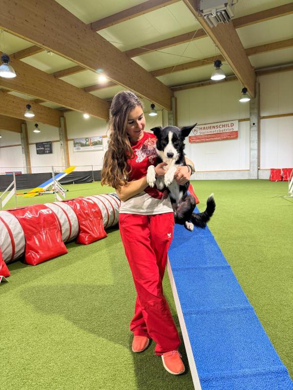 Bild 1 von 2: Im Bild: \