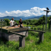 Stelzen, Silo & Schwarzwaldschick - Ferien mal anders!
