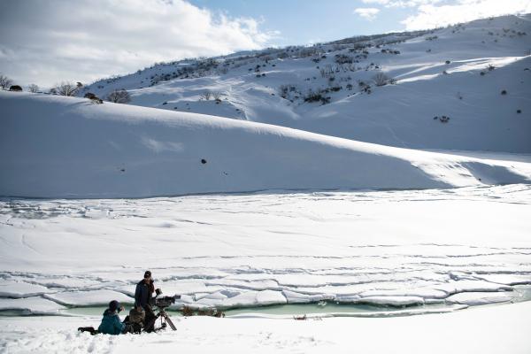Bild 1 von 15: Ein Filmteam sucht im Australischen Bergland nach Kängurus und Wombats.