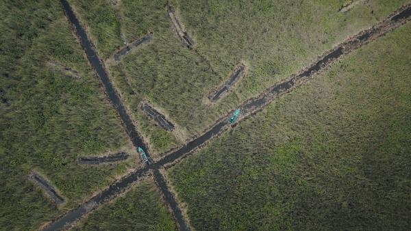 Bild 1 von 9: An der mexikanischen Ku?ste vor Veracruz werden aus Mangroven schwimmende Inseln nach aztekischem Vorbild gebaut, sogenannte Chinampas, gegen Erosion und U?berschwemmung.