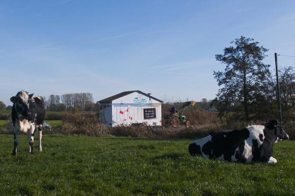 Bild 1 von 7: .