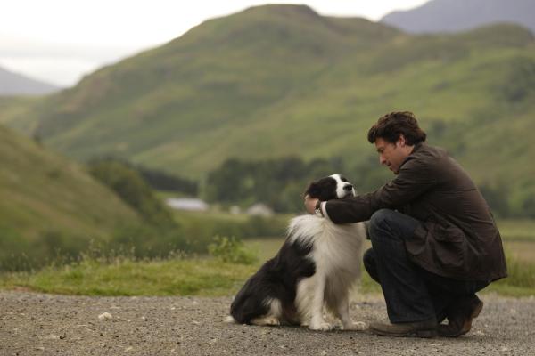 Bild 1 von 44: Unternimmt alles, um seine beste Freundin zurückzugewinnen: Tom (Patrick Dempsey).