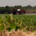 Die Saat der Gier - Wie Bayer mit Monsanto die Landwirtschaft verändern will