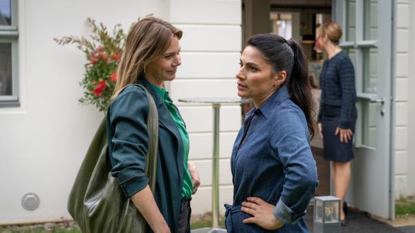 Neuer Wind im Alten Land