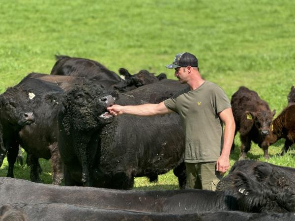 Bild 1 von 8: Andreas Teufl mit seinen Galloway´s während den Dreharbeiten zu AB Hof für Servus TV
