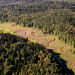 Europas Urwälder
