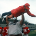 American Wildcats