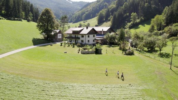 Bild 1 von 6: Im Bild: Das Haus und die Felder der Familie Hinterramskogler aus dem Niederösterreichischen Eisenwurzen.