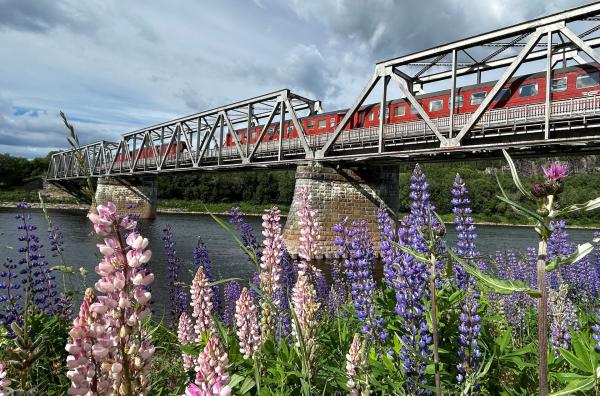 Bild 1 von 3: Norwegen erleben: Das Eisenbahn-Hotel auf einer Brücke über den Fluss Namsen