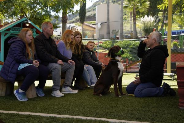 Bild 1 von 4: .