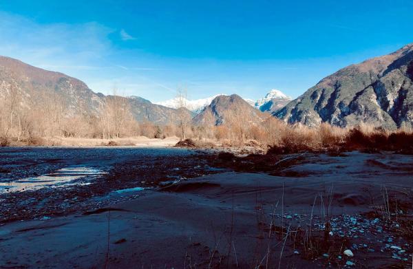 Bild 1 von 12: Der Tagliamento - König der Alpenflüsse