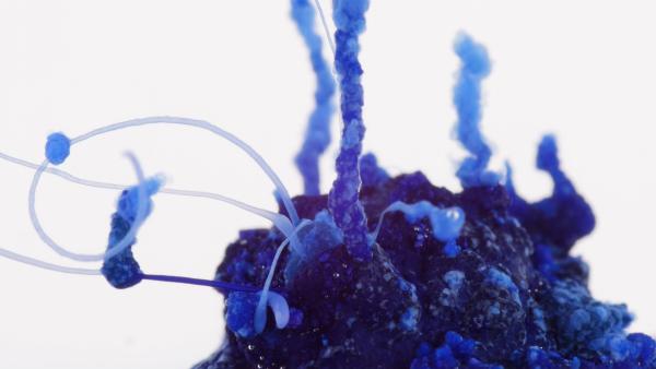 Bild 1 von 6: Makroaufnahme einer chemischen Osmose.