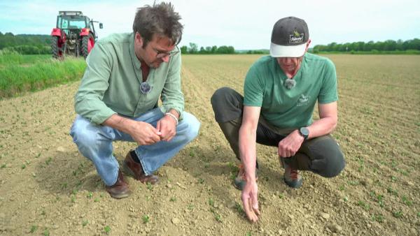 Bild 1 von 8: Im Bild: Landwirt Christian Gartner ist überzeugt \