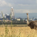 Kenia: Kein Platz für wilde Tiere