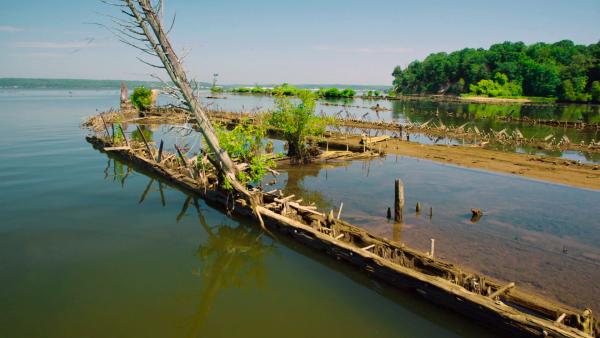 Bild 1 von 5: Die Mallows Bay im US-amerikanischen Maryland ist ein regelrechter Schiffsfriedhof.