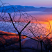 Im Niemandsland - Was Korea teilt