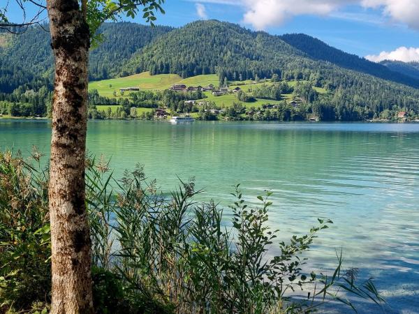 Bild 1 von 10: Im Bild: Blick auf den Weissensee.