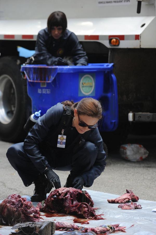 Bild 1 von 6: Temperance Brennan (Emily Deschanel)