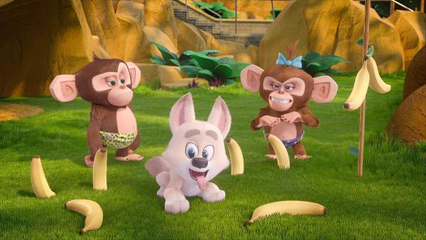 Bild 1 von 2: Madagascar - Die kleine Wildnis