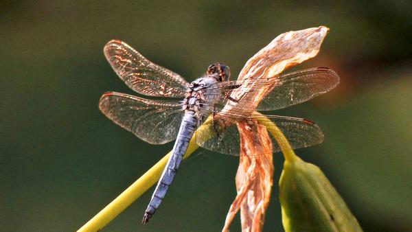 Bild 1 von 4: Universum: \